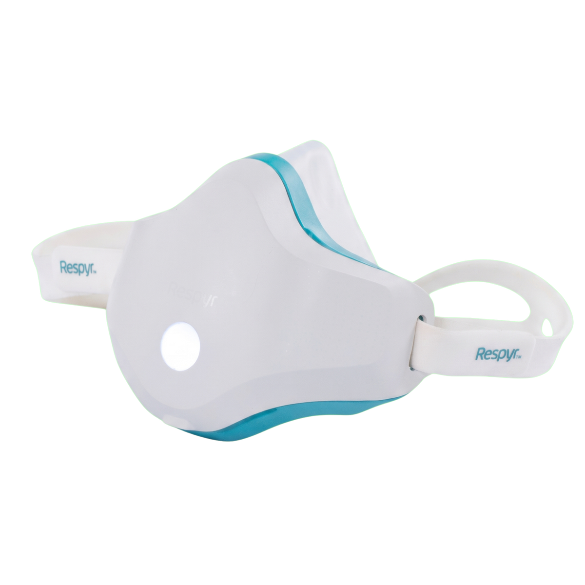 Heated Nasal Therapy Mask